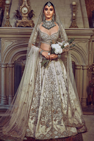 Aurum ekru tree of life lehenga set