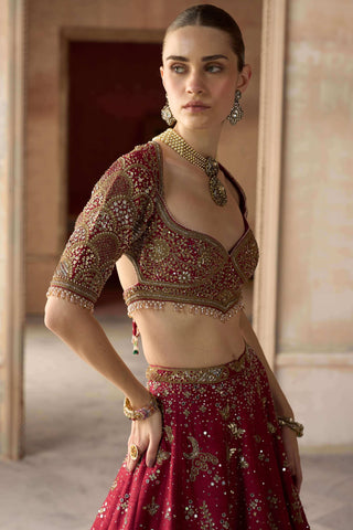 Royal tree of life scarlet lehenga set