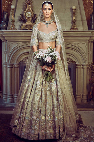 Autumn antelope-aged gold lehenga set