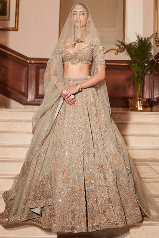 Royal lotus pond jade lehenga set