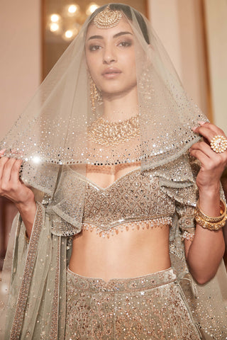 Royal lotus pond jade lehenga set