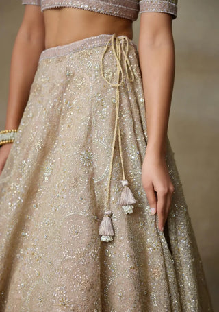 Moonset rose lehenga set
