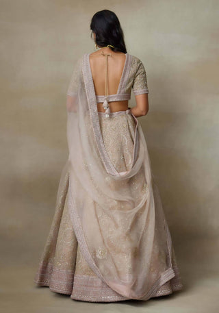 Moonset rose lehenga set
