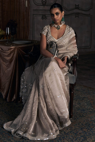 Tarnished silver wild dandelion sari with blouse