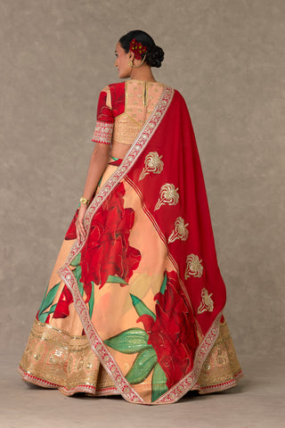 House Of Masaba-Salmon Candy Swirl Lehenga Set-INDIASPOPUP.COM