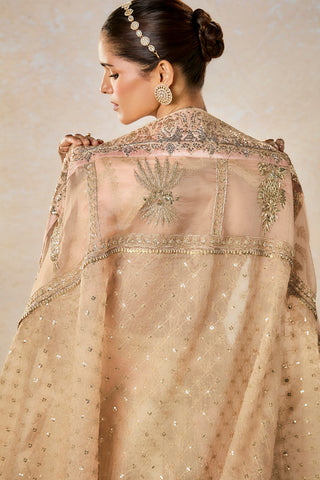 Rabri peach pink lehenga set