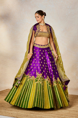 Jamun fizz lehenga set