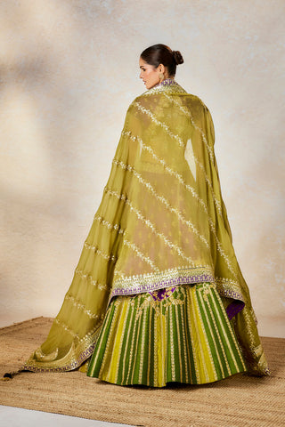 Jamun fizz lehenga set