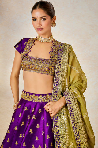 Jamun fizz lehenga set