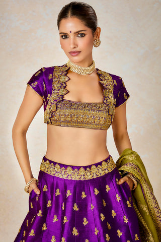 Jamun fizz lehenga set