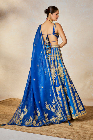 Blue neel bahar lehenga set