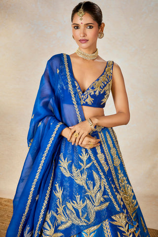 Blue neel bahar lehenga set