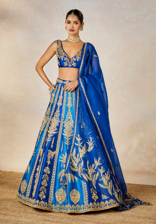 Blue neel bahar lehenga set