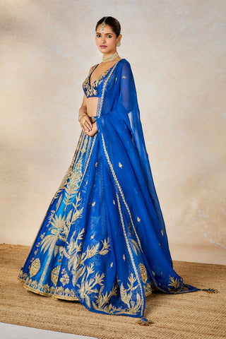 Blue neel bahar lehenga set