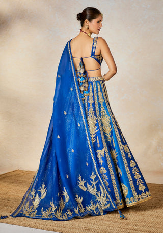 Blue neel bahar lehenga set