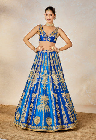 Blue neel bahar lehenga set