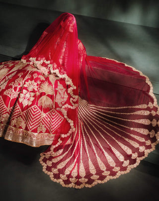 Raspberry aalu bukhara lehenga set