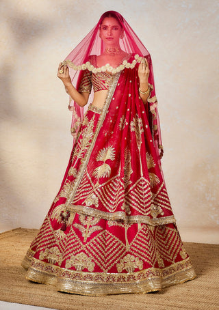 Raspberry aalu bukhara lehenga set