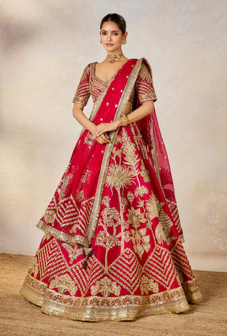 Raspberry aalu bukhara lehenga set