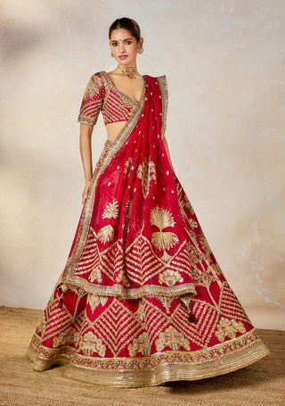 Raspberry aalu bukhara lehenga set