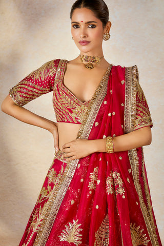 Raspberry aalu bukhara lehenga set