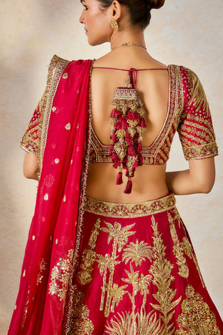 Raspberry aalu bukhara lehenga set