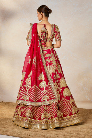 Raspberry aalu bukhara lehenga set