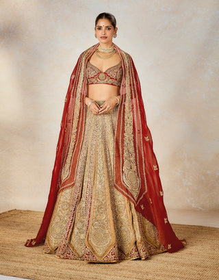 Rust khubani ka meetha lehenga set