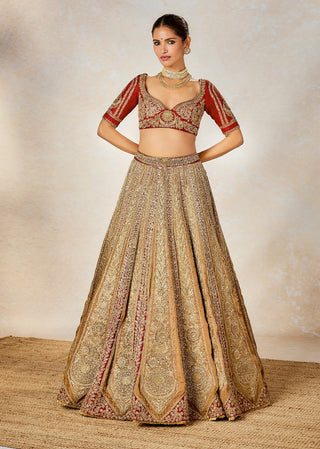 Rust khubani ka meetha lehenga set