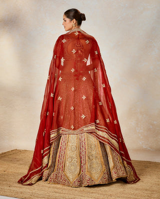 Rust khubani ka meetha lehenga set