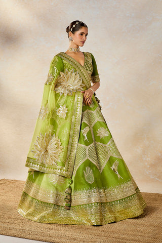 Green jaljeera lehenga set