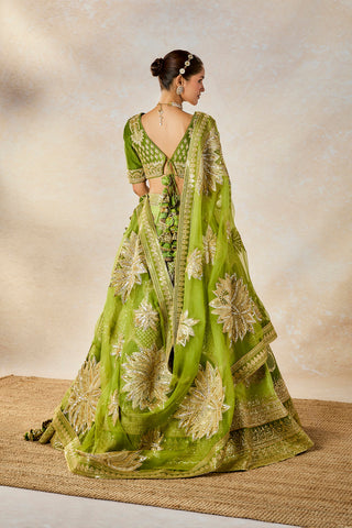 Green jaljeera lehenga set