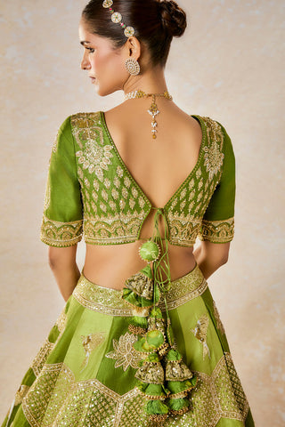 Green jaljeera lehenga set