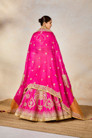 Pink gulaab cham cham lehenga set