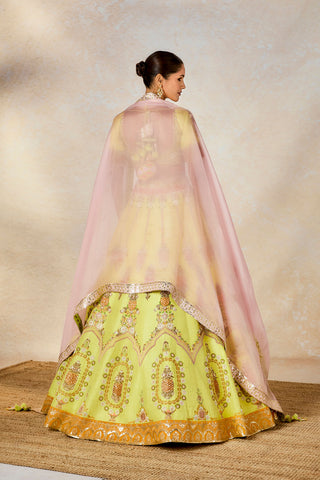 Lime green pista kulfi lehenga set