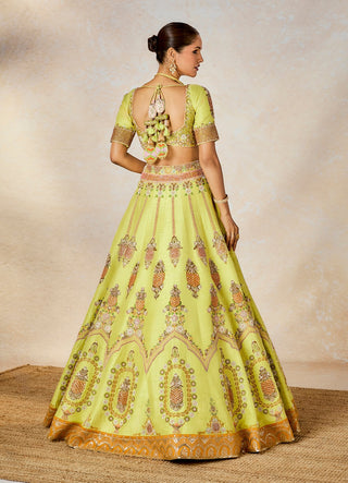 Lime green pista kulfi lehenga set