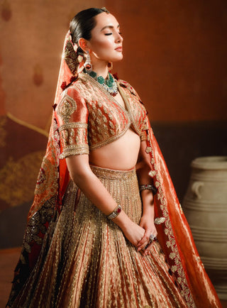 Rust mohanthal lehenga set