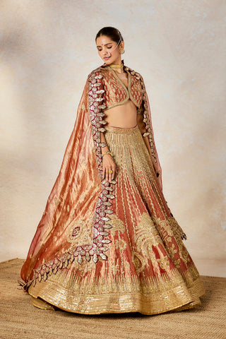 Rust mohanthal lehenga set