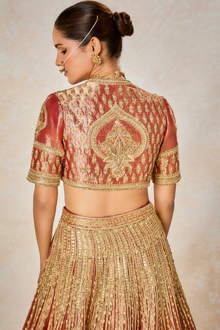 Rust mohanthal lehenga set