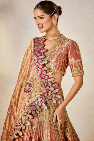 Rust mohanthal lehenga set