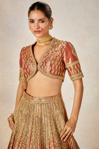 Rust mohanthal lehenga set