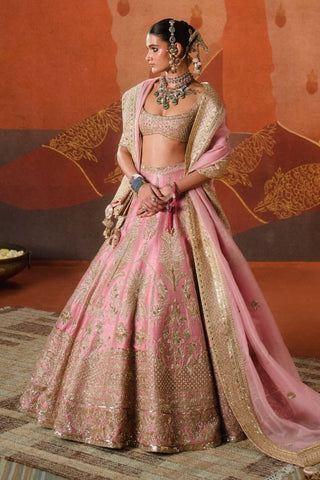 Onion pink gulab barfi lehenga set