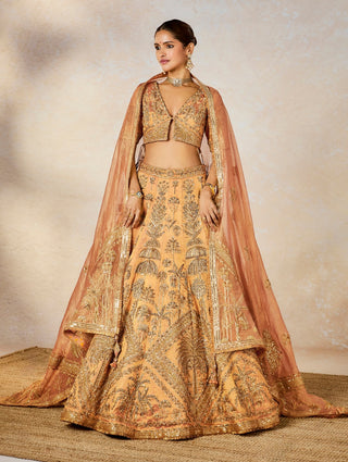 Pink agra petha lehenga set