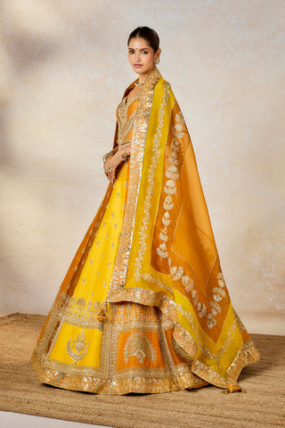 Ochre son patissa lehenga set