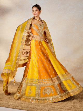 Ochre son patissa lehenga set