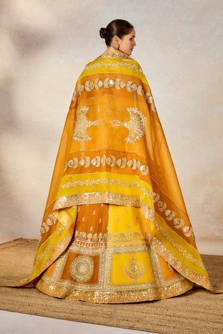 Ochre son patissa lehenga set