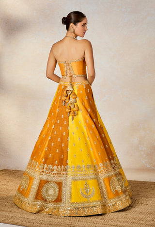 Ochre son patissa lehenga set