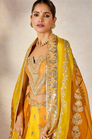 Ochre son patissa lehenga set