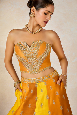 Ochre son patissa lehenga set