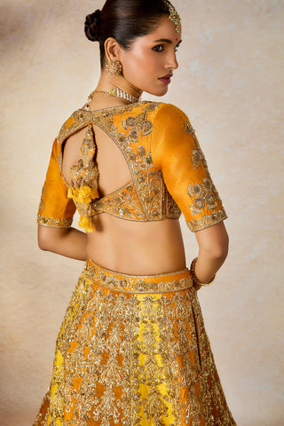 Ochre ghevar lehenga set